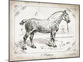 Farm Horse I-Gwendolyn Babbitt-Mounted Art Print