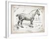 Farm Horse I-Gwendolyn Babbitt-Framed Art Print