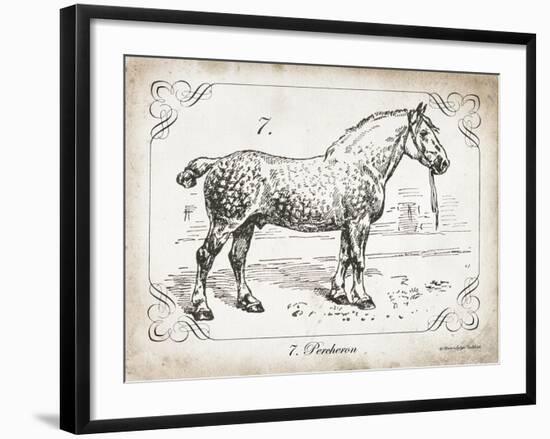 Farm Horse I-Gwendolyn Babbitt-Framed Art Print