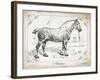 Farm Horse I-Gwendolyn Babbitt-Framed Art Print