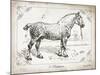 Farm Horse I-Gwendolyn Babbitt-Mounted Art Print