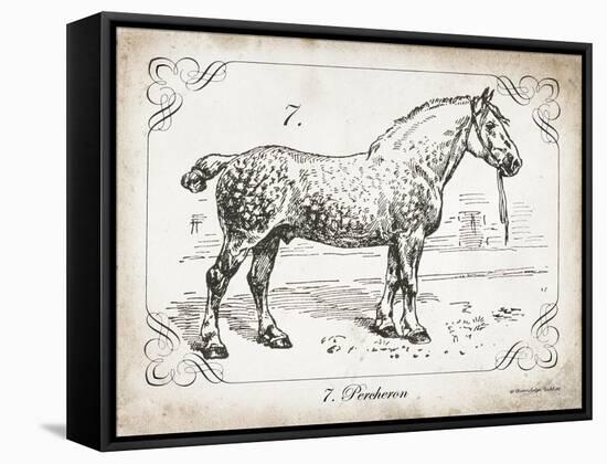 Farm Horse I-Gwendolyn Babbitt-Framed Stretched Canvas