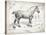 Farm Horse I-Gwendolyn Babbitt-Stretched Canvas