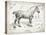 Farm Horse I-Gwendolyn Babbitt-Stretched Canvas