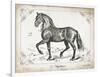 Farm Horse II-Gwendolyn Babbitt-Framed Art Print