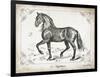 Farm Horse II-Gwendolyn Babbitt-Framed Art Print