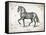 Farm Horse II-Gwendolyn Babbitt-Framed Stretched Canvas