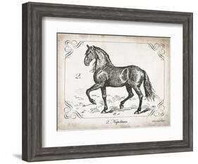 Farm Horse II-Gwendolyn Babbitt-Framed Art Print