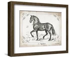 Farm Horse II-Gwendolyn Babbitt-Framed Art Print