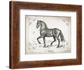 Farm Horse II-Gwendolyn Babbitt-Framed Art Print