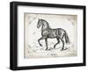 Farm Horse II-Gwendolyn Babbitt-Framed Art Print