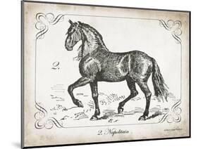 Farm Horse II-Gwendolyn Babbitt-Mounted Art Print