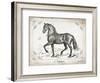 Farm Horse II-Gwendolyn Babbitt-Framed Art Print