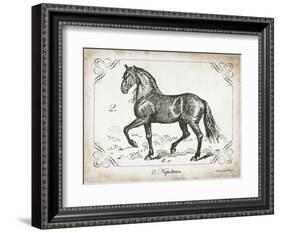 Farm Horse II-Gwendolyn Babbitt-Framed Art Print