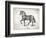 Farm Horse II-Gwendolyn Babbitt-Framed Art Print