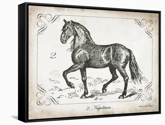 Farm Horse II-Gwendolyn Babbitt-Framed Stretched Canvas