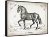 Farm Horse II-Gwendolyn Babbitt-Framed Stretched Canvas