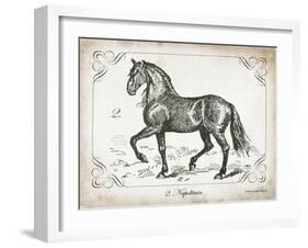 Farm Horse II-Gwendolyn Babbitt-Framed Art Print