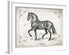 Farm Horse II-Gwendolyn Babbitt-Framed Art Print