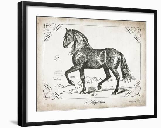 Farm Horse II-Gwendolyn Babbitt-Framed Art Print