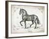 Farm Horse II-Gwendolyn Babbitt-Framed Art Print