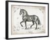 Farm Horse II-Gwendolyn Babbitt-Framed Art Print