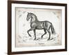 Farm Horse II-Gwendolyn Babbitt-Framed Art Print