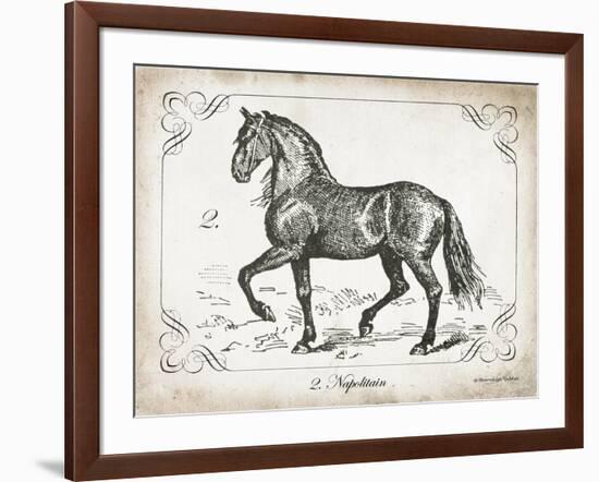 Farm Horse II-Gwendolyn Babbitt-Framed Art Print