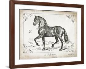 Farm Horse II-Gwendolyn Babbitt-Framed Art Print