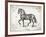 Farm Horse II-Gwendolyn Babbitt-Framed Art Print