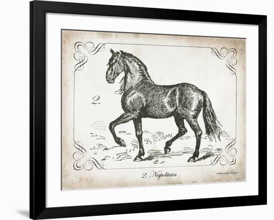 Farm Horse II-Gwendolyn Babbitt-Framed Art Print