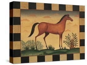 Farm Horse-Diane Pedersen-Stretched Canvas
