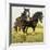Farm Horses-David Nockels-Framed Giclee Print