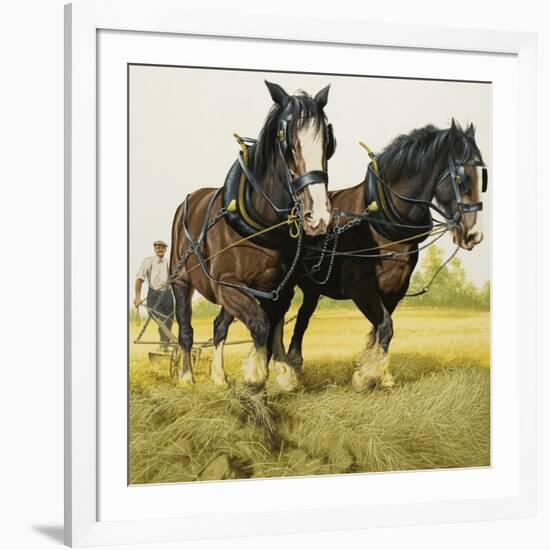 Farm Horses-David Nockels-Framed Giclee Print