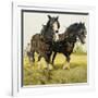 Farm Horses-David Nockels-Framed Giclee Print