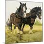 Farm Horses-David Nockels-Mounted Giclee Print