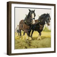 Farm Horses-David Nockels-Framed Giclee Print