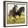 Farm Horses-David Nockels-Framed Giclee Print