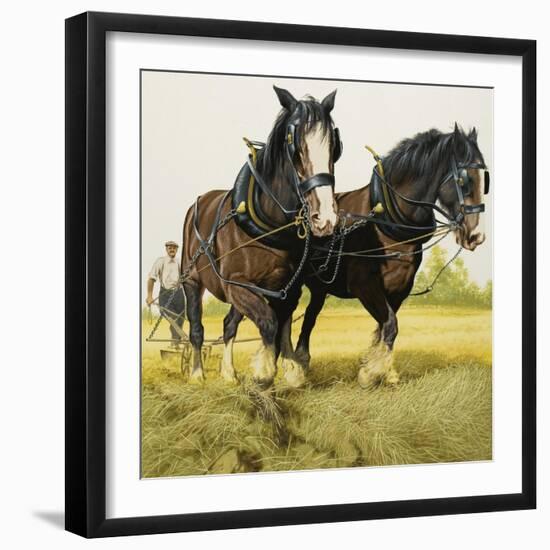 Farm Horses-David Nockels-Framed Giclee Print