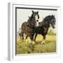 Farm Horses-David Nockels-Framed Giclee Print