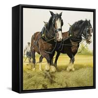 Farm Horses-David Nockels-Framed Stretched Canvas