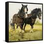 Farm Horses-David Nockels-Framed Stretched Canvas