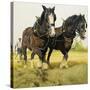 Farm Horses-David Nockels-Stretched Canvas