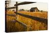 Farm house and rail fence in Grand Teton National Park.-Larry Ditto-Stretched Canvas