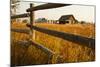 Farm house and rail fence in Grand Teton National Park.-Larry Ditto-Mounted Photographic Print