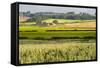 Farm House in Northumberland National Park-Matthew-Framed Stretched Canvas