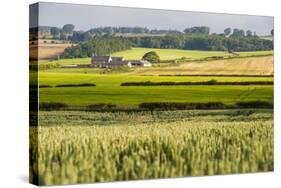 Farm House in Northumberland National Park-Matthew-Stretched Canvas