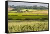 Farm House in Northumberland National Park-Matthew-Framed Stretched Canvas