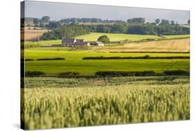 Farm House in Northumberland National Park-Matthew-Stretched Canvas