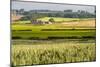 Farm House in Northumberland National Park-Matthew-Mounted Photographic Print